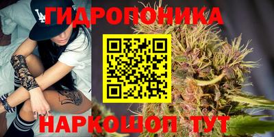 ГАЛЛЮЦИНОГЕННЫЕ ГРИБЫ Татарск