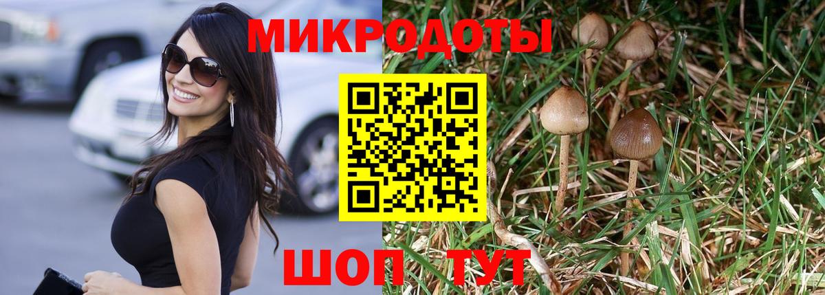 Псилоцибиновые грибы мухоморы Мценск