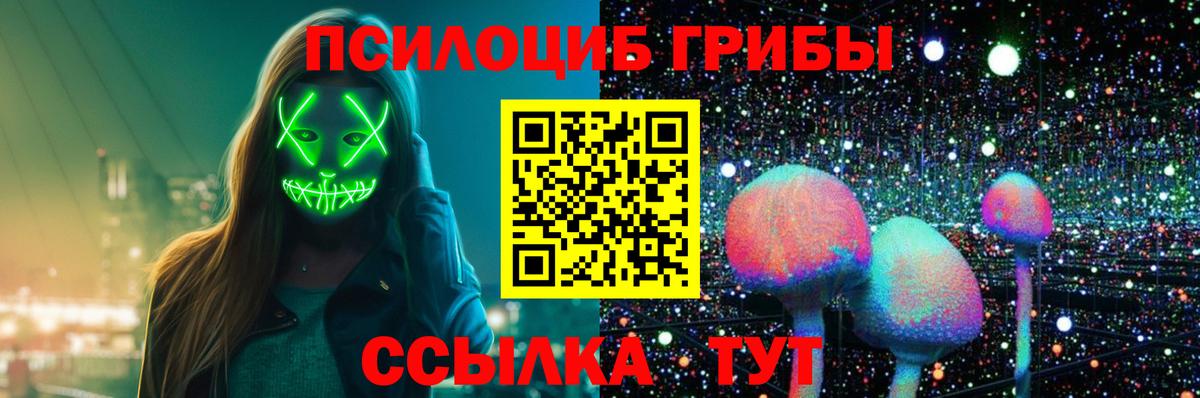 Галлюциногенные грибы Psilocybine cubensis  Вход с VPN  Мценск 